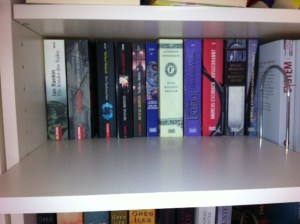 Katzentreppe, Catwalk, Katze, selbst, bauen, preiswert, IKEA, Regal, Billy