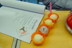 Eis, Manufaktur, Fontanella, Mannheim, Spaghetti-Eis, Spagetti, Erfinder, erfunden, Handarbeit, Qualität, Geschmack