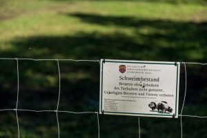 Schwein, Fleisch, Hohenlohe, BESH, Schwäbisch-hällisch, Schwäbisch Hall, Erzeugergemeinschaft, Bauer, bäuerlich