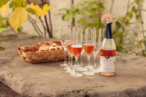 Wein, Winzer, Ellwanger, Sekt, Weinberg, Ausbildung. Lehre, Remstal, Großheppach, Baden-Württemberg