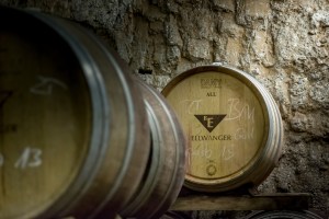 Wein, Weingut, Remstal, Winzer, Ausbildung, Weinbau, Rebe, Oktober, Weinberg, Baden-Württemberg, Stuttgart