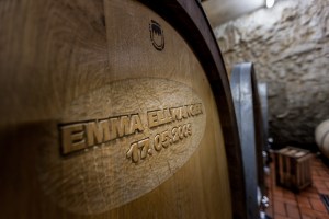 Wein, Weingut, Remstal, Winzer, Ausbildung, Weinbau, Rebe, Oktober, Weinberg, Baden-Württemberg, Stuttgart