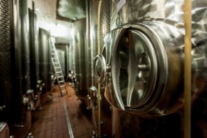 Wein, Weingut, Remstal, Winzer, Ausbildung, Weinbau, Rebe, Oktober, Weinberg, Baden-Württemberg, Stuttgart