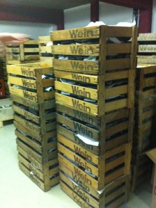 Wein, Weingut, Remstal, Winzer, Ausbildung, Weinbau, Rebe, Oktober, Weinberg, Baden-Württemberg, Stuttgart