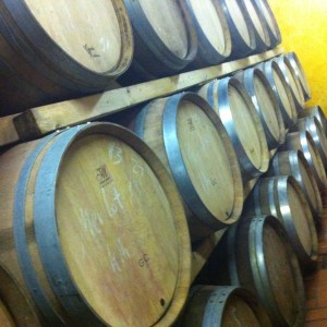 Wein, Weingut, Remstal, Winzer, Ausbildung, Weinbau, Rebe, Oktober, Weinberg, Baden-Württemberg, Stuttgart