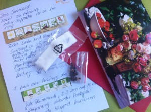 Blumen, Balkon, Wichteln