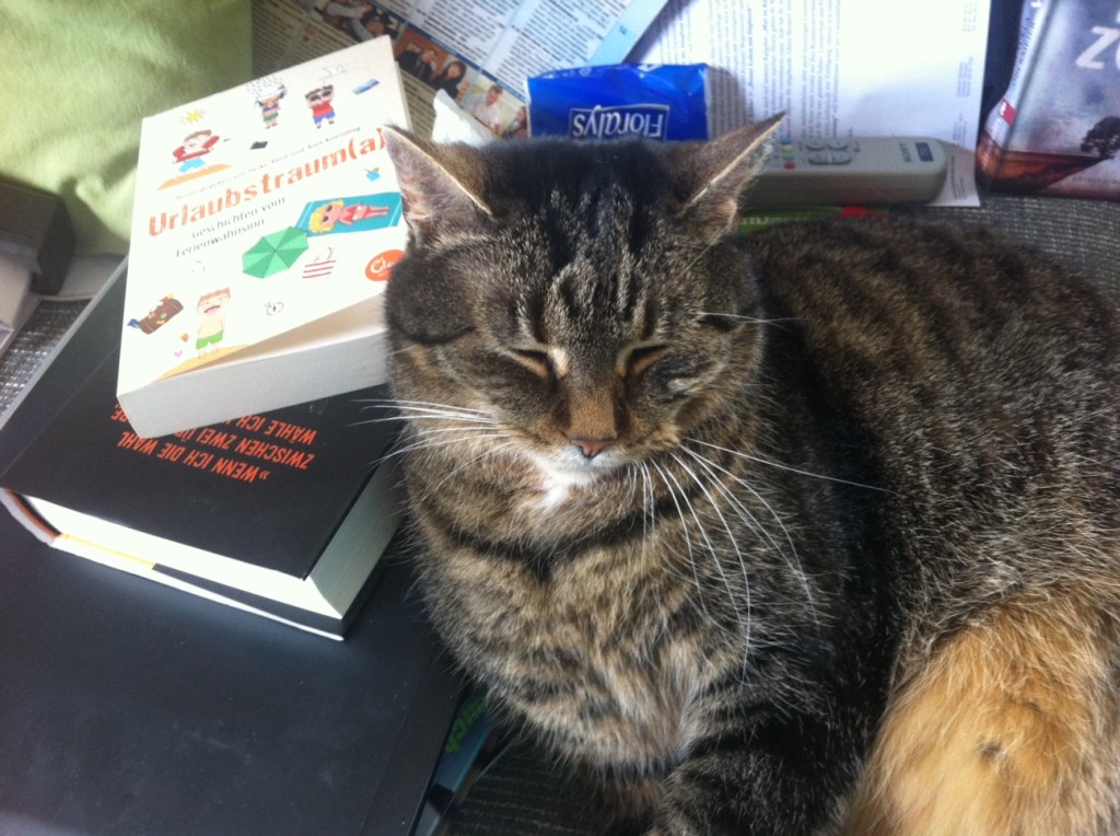 Abidi/Koeseling: Urlaubstraum(a)