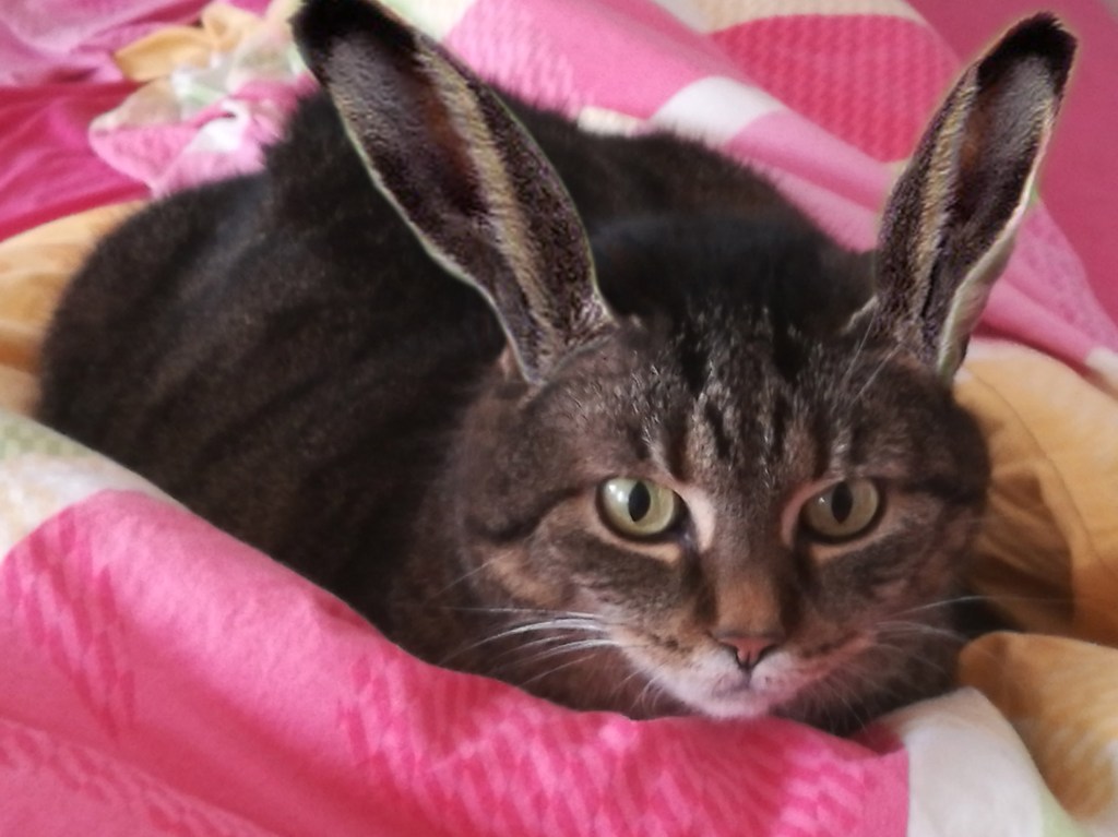 Früher war alles anders, auch die Osterhasen