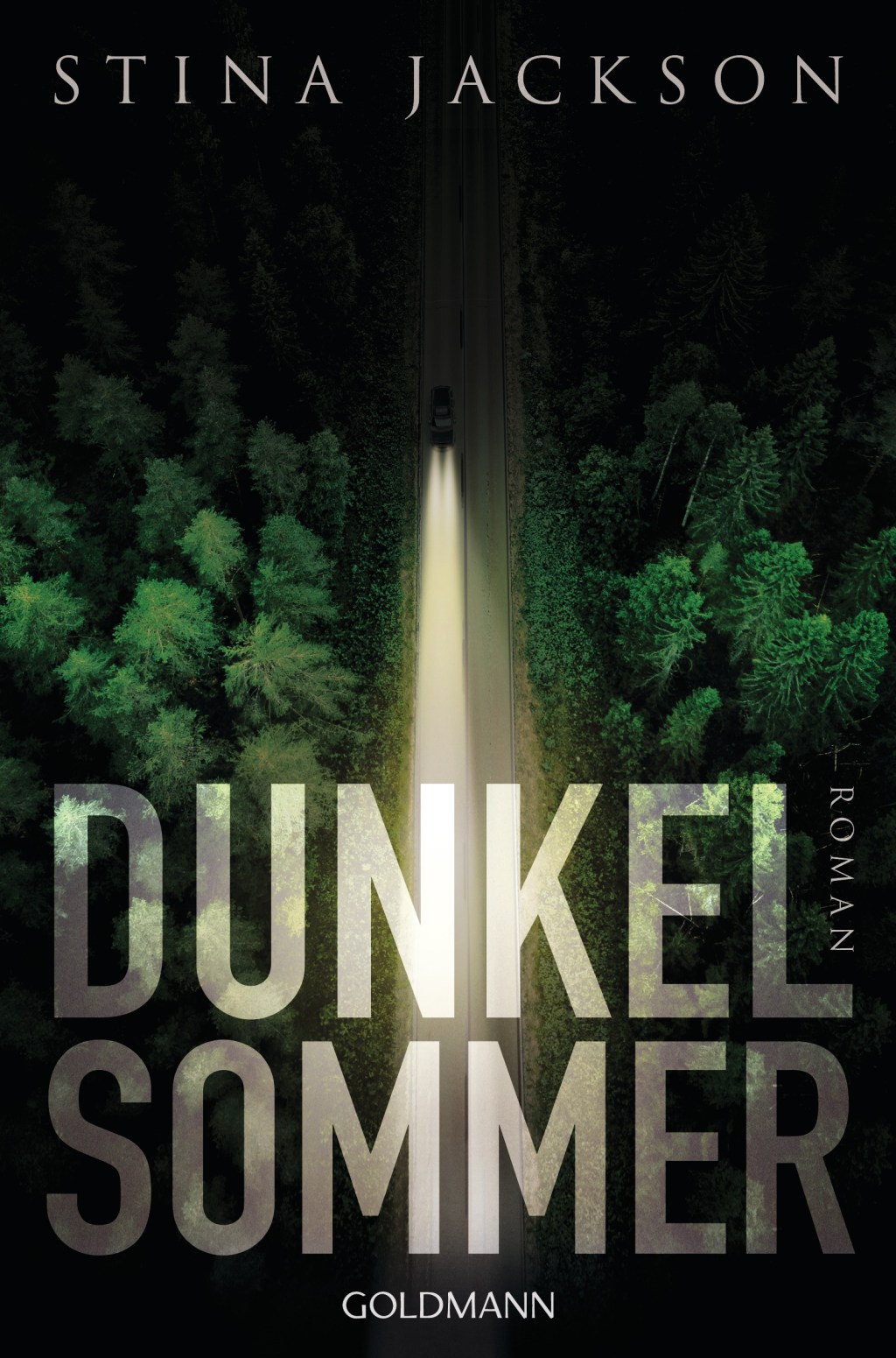 Stina Jackson: Dunkelsommer