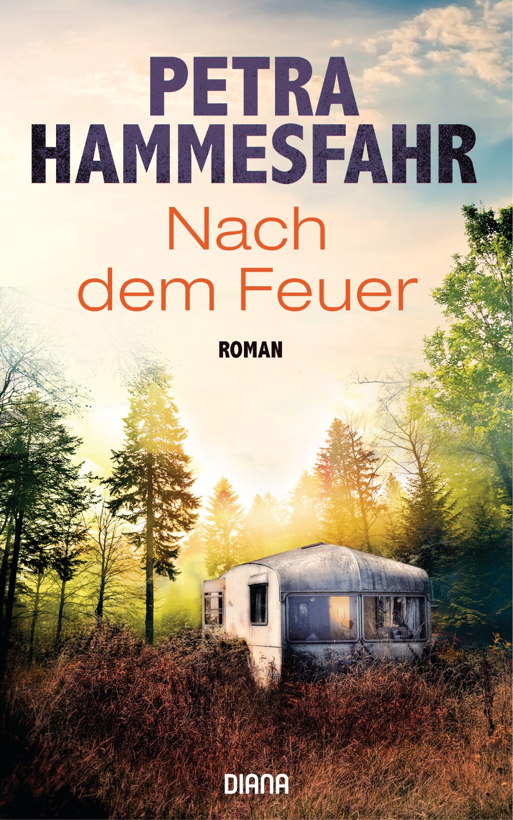 Petra Hammesfahr: Nach dem&nbsp;Feuer