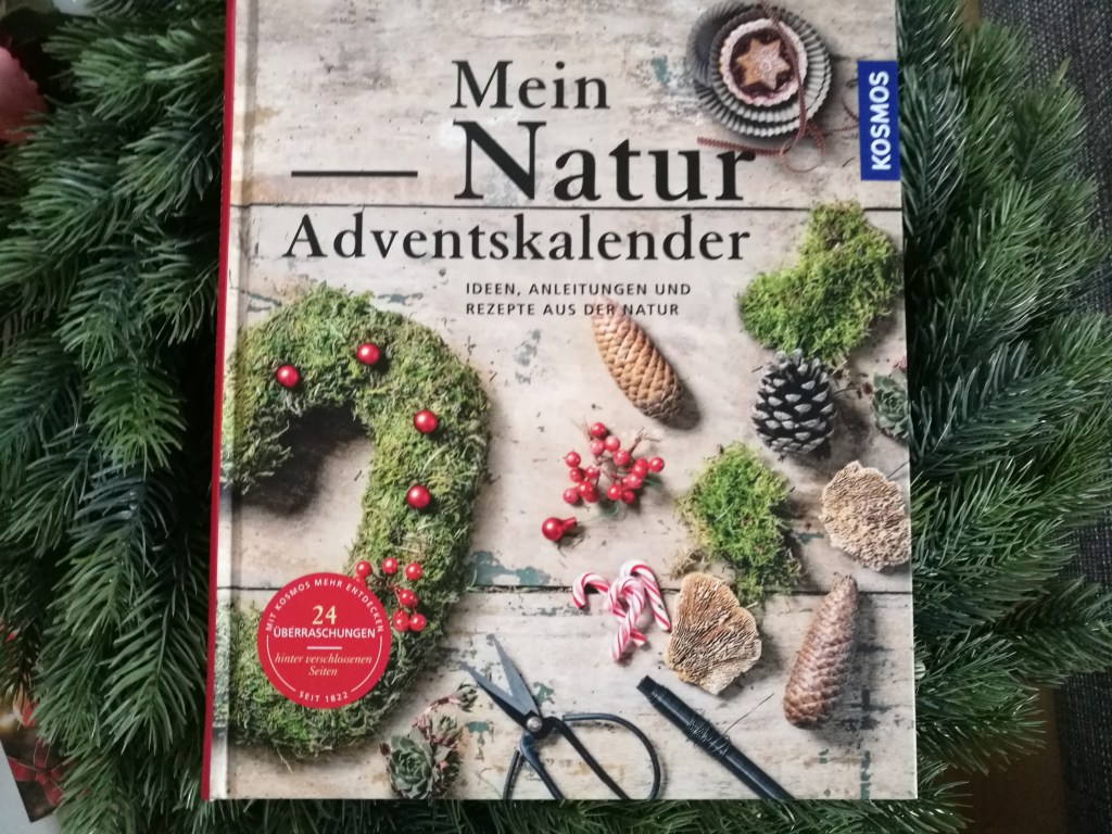 Anne Rogge: Mein Natur-Adventskalender