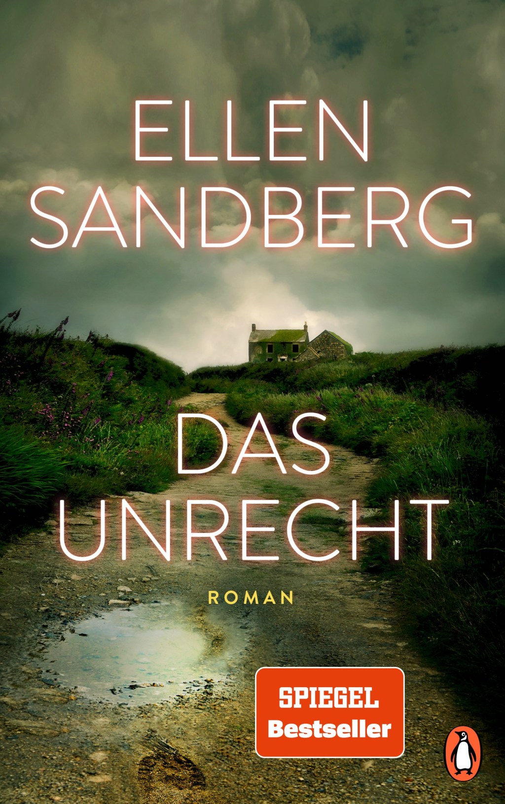 Ellen Sandberg: Das&nbsp;Unrecht